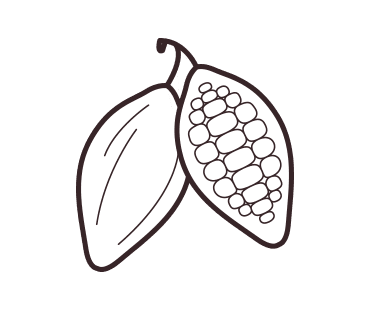 Cacao pods illustration with eye dropper