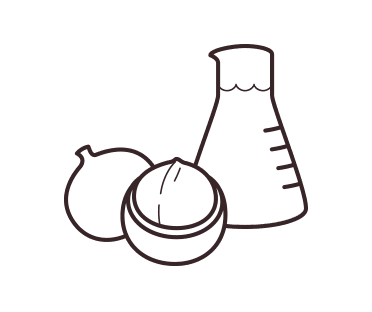 Macadamia nut illustration with beacon of oil