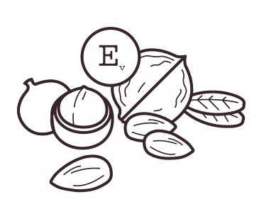 Vitamin E illustration