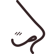 Nose illustration