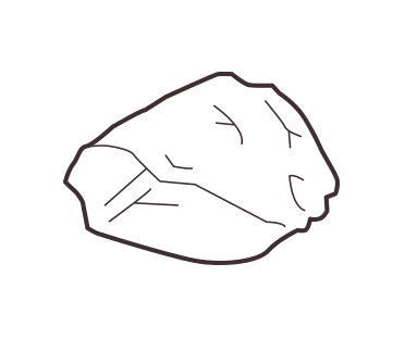 Charcoal illustration