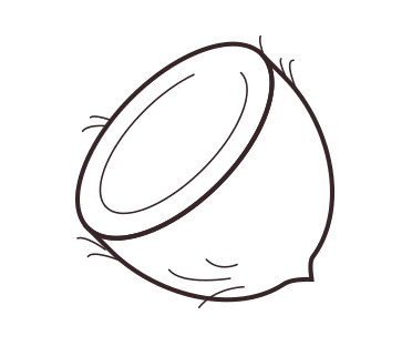 Coconut illustration