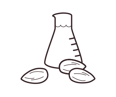 Almonds and beacon of almond oil illustration