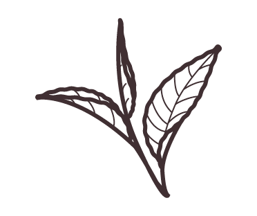 Green tea leaf illustration
