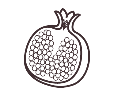 Pomegranate illustration
